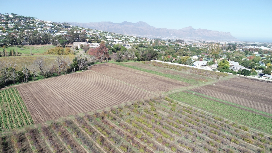 5 Bedroom Property for Sale in Stellenbosch Farms Western Cape